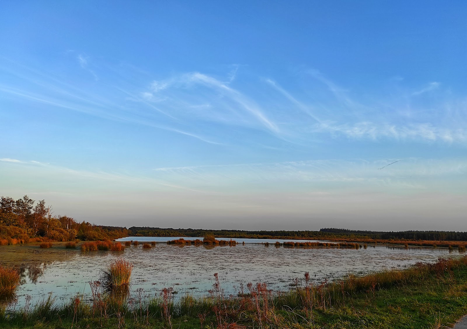 Buitenplaats Fochteloërveen