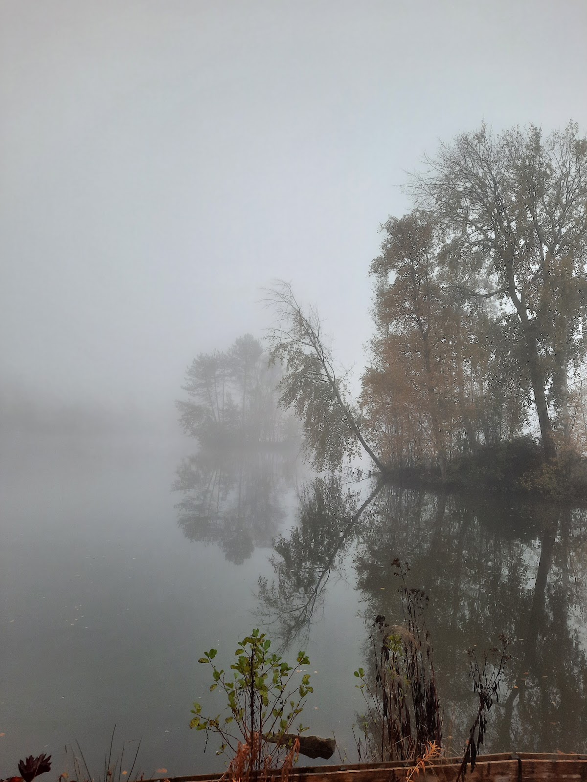 Buitenplaats Fochteloërveen