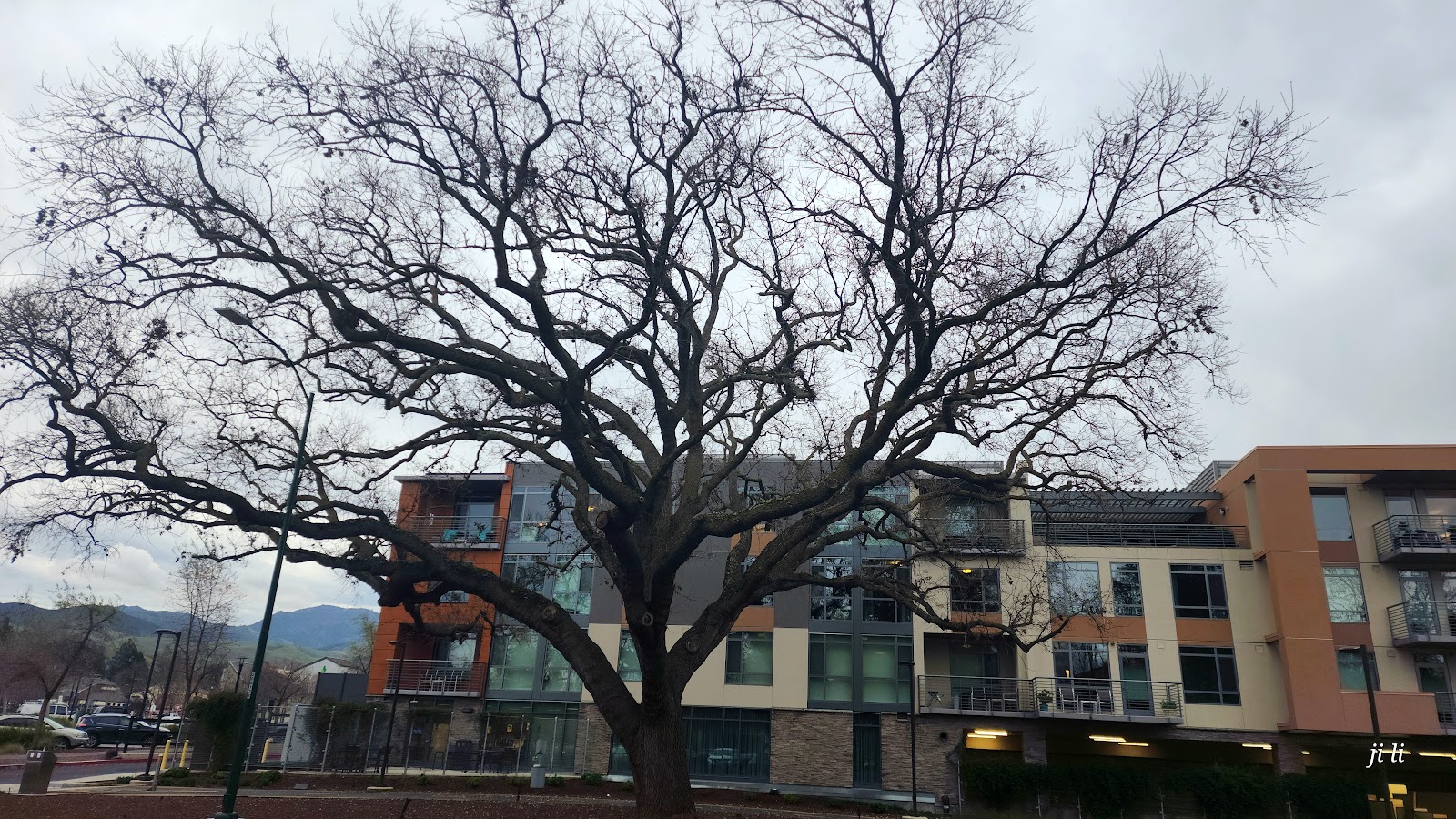 Sequoia Living Viamonte at Walnut Creek