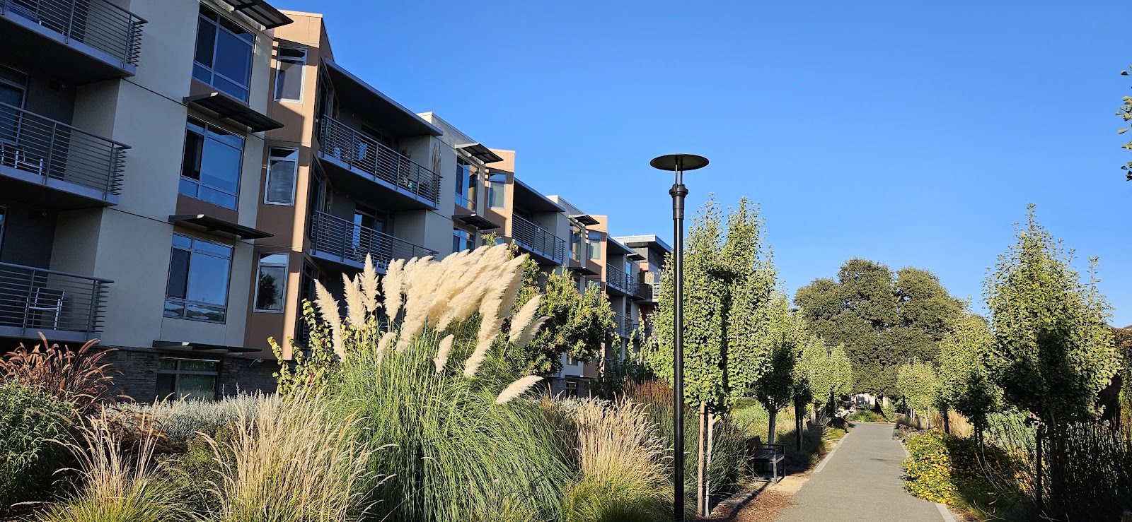 Sequoia Living Viamonte at Walnut Creek