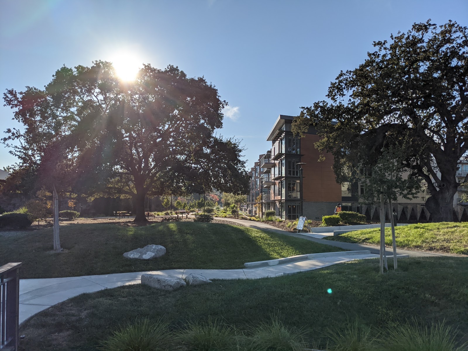 Sequoia Living Viamonte at Walnut Creek