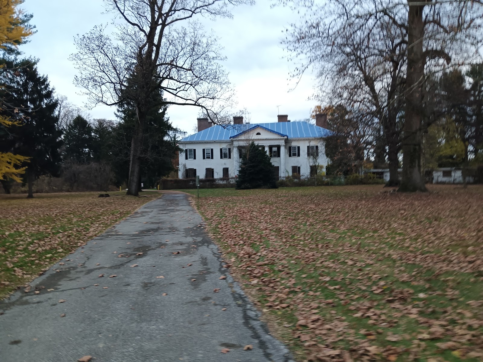Little Flower Manor