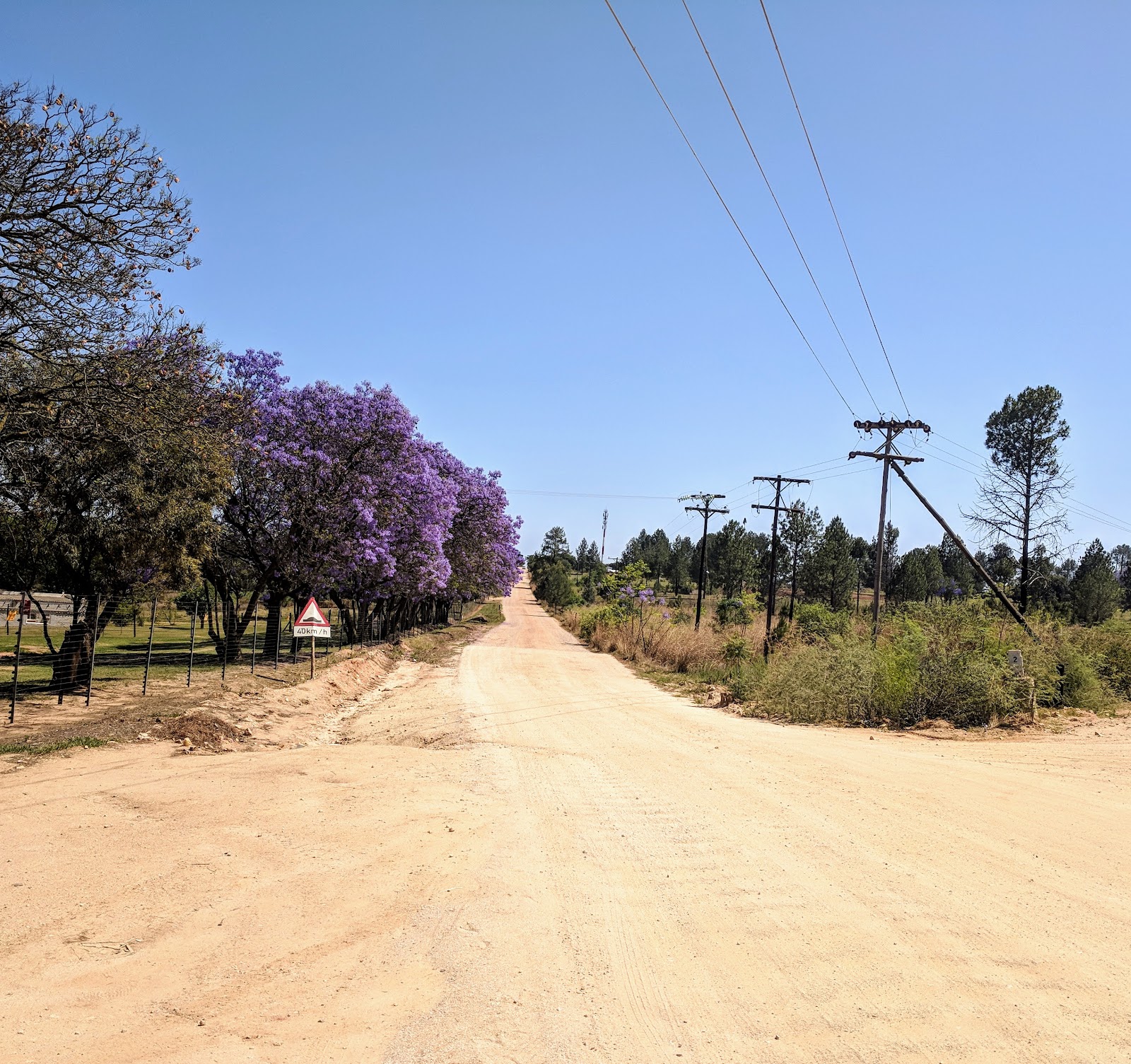 Logwood Village