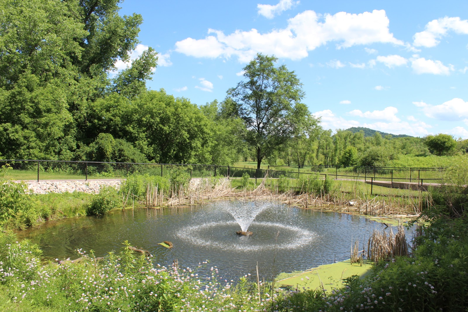 SpringBrook Assisted Living
