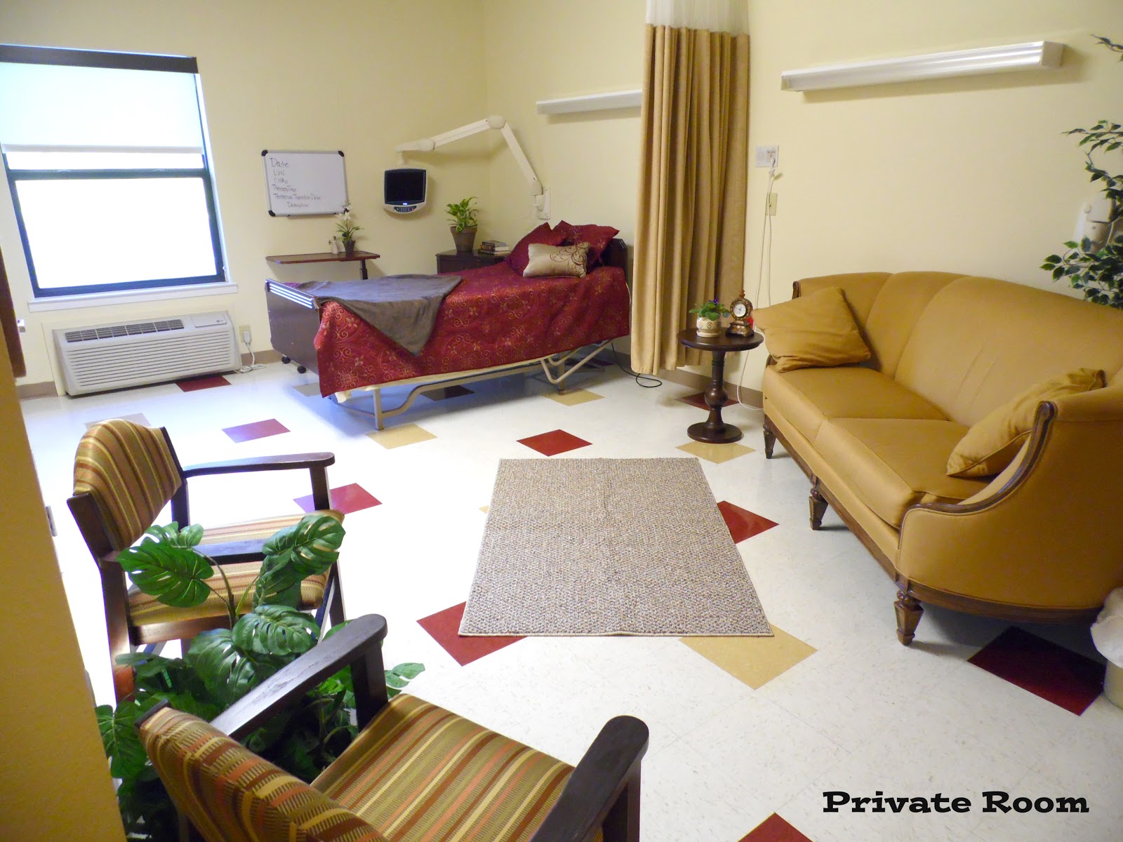 Lone Star Rehabilitation and Wellness Center