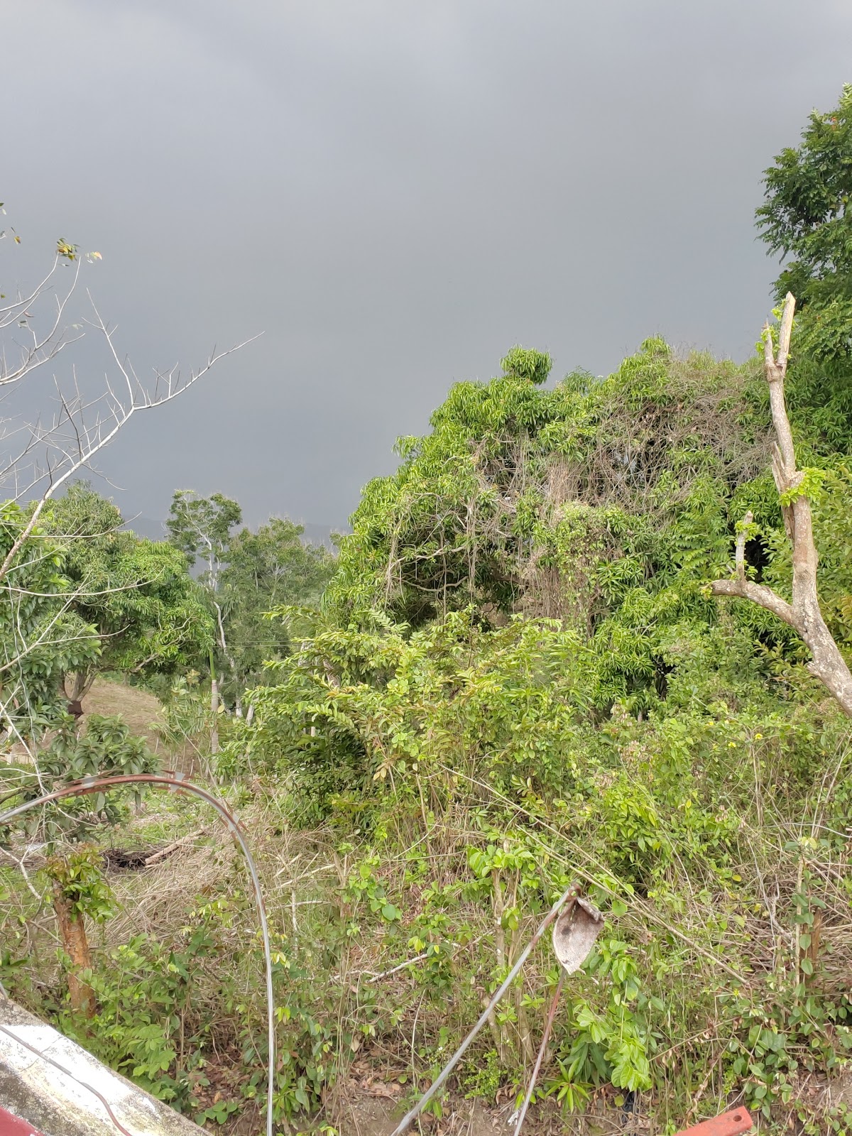 Colinas de Mina, Villa Altagracia