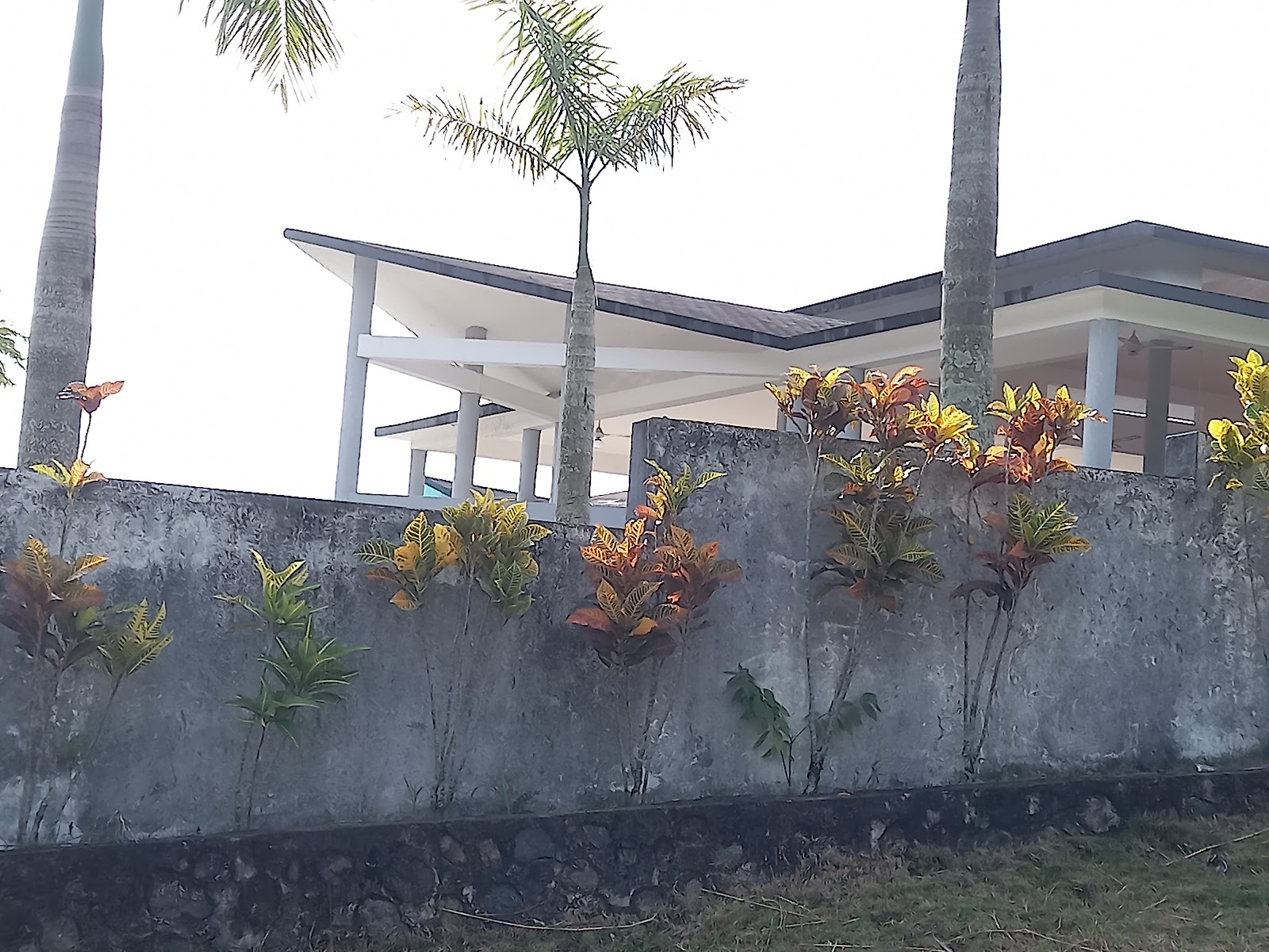 Colinas de Mina, Villa Altagracia