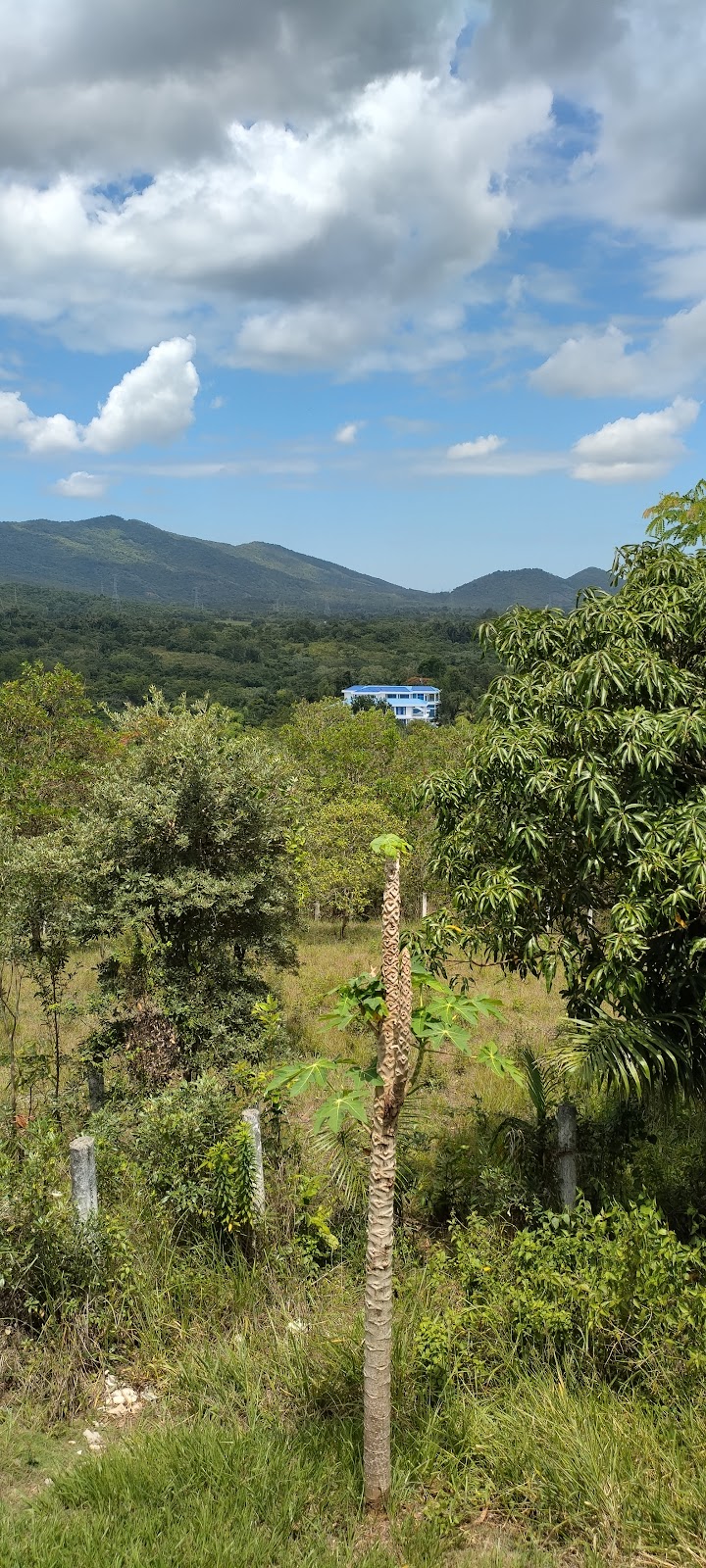 Colinas de Mina, Villa Altagracia