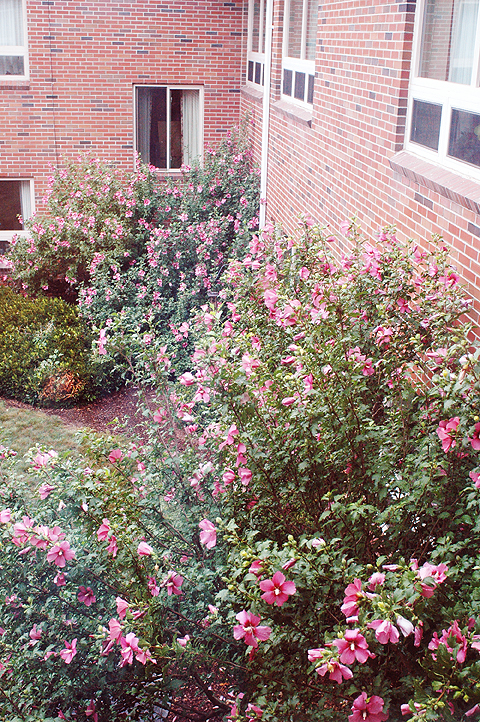 Fairhaven Healthcare Center for Rehabilitation and Nursing