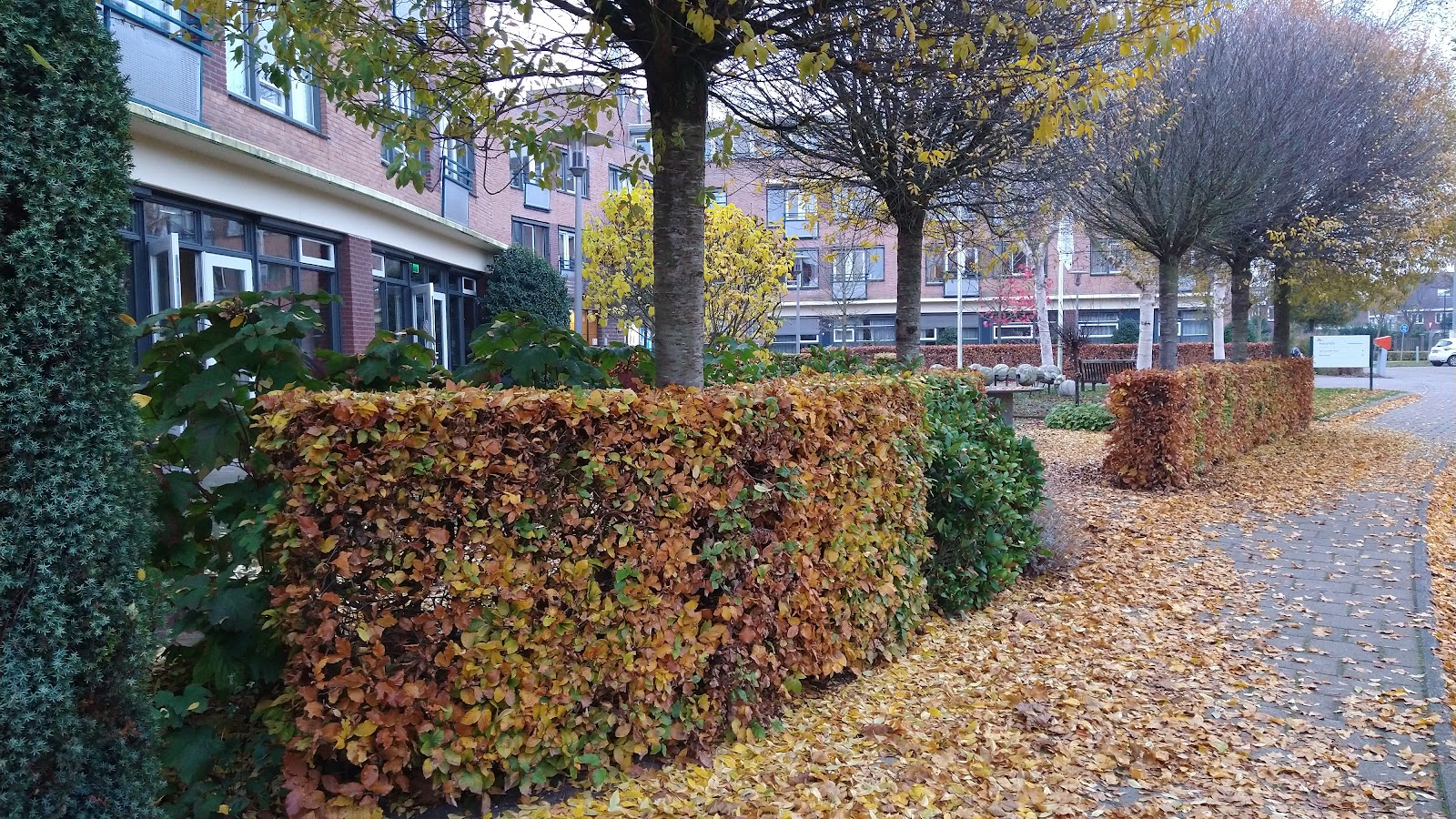 The Wooncentrum Loericker Stee