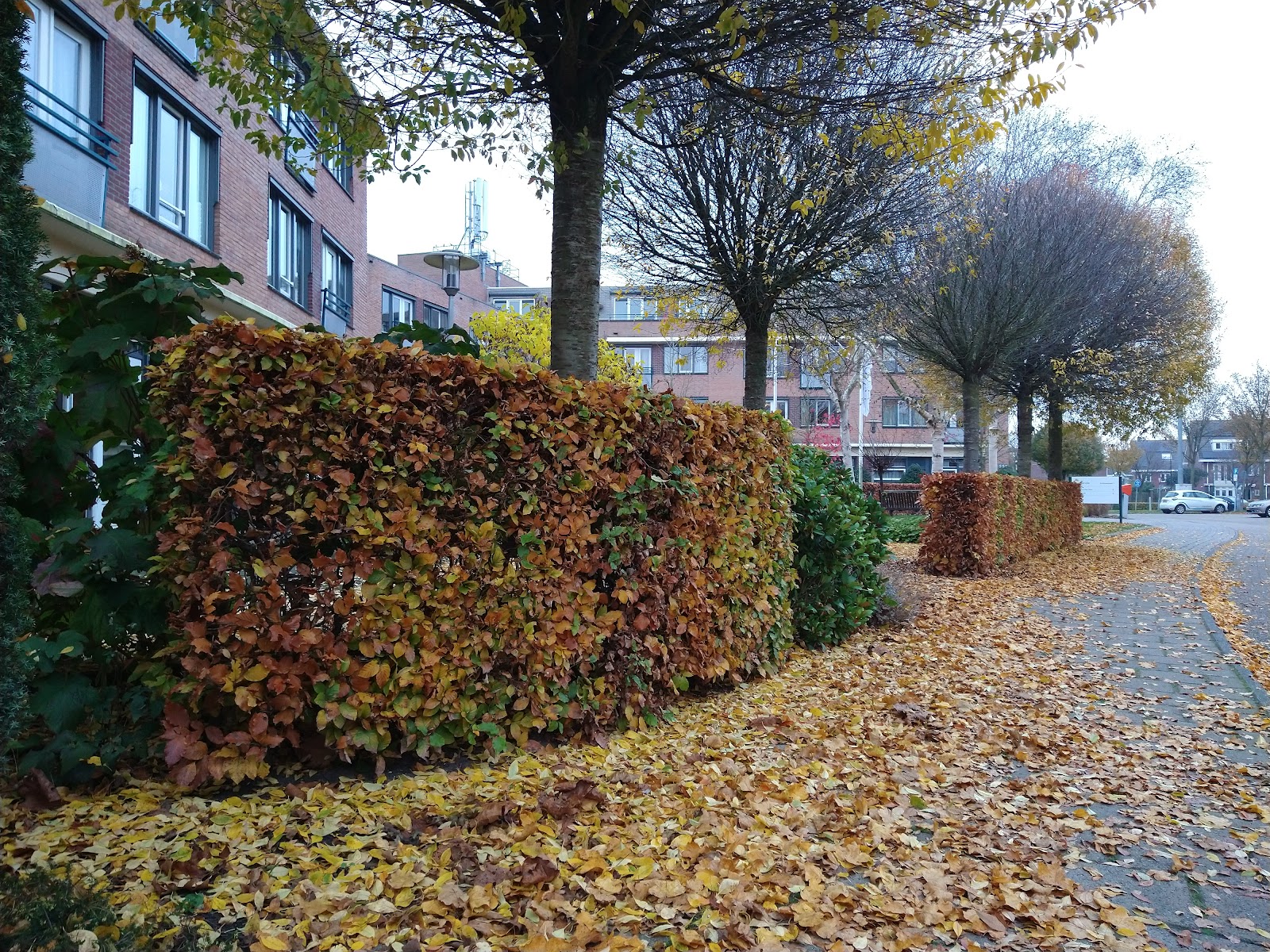 The Wooncentrum Loericker Stee