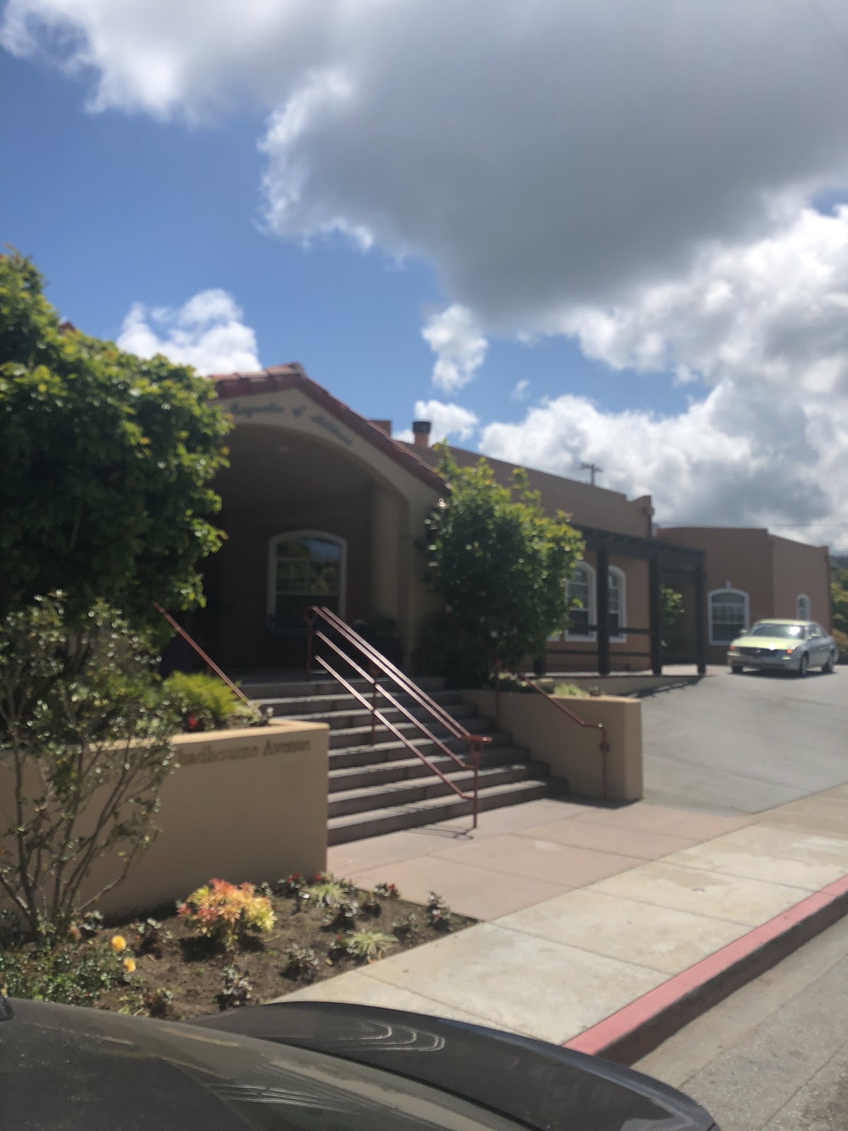 The Magnolia of Millbrae