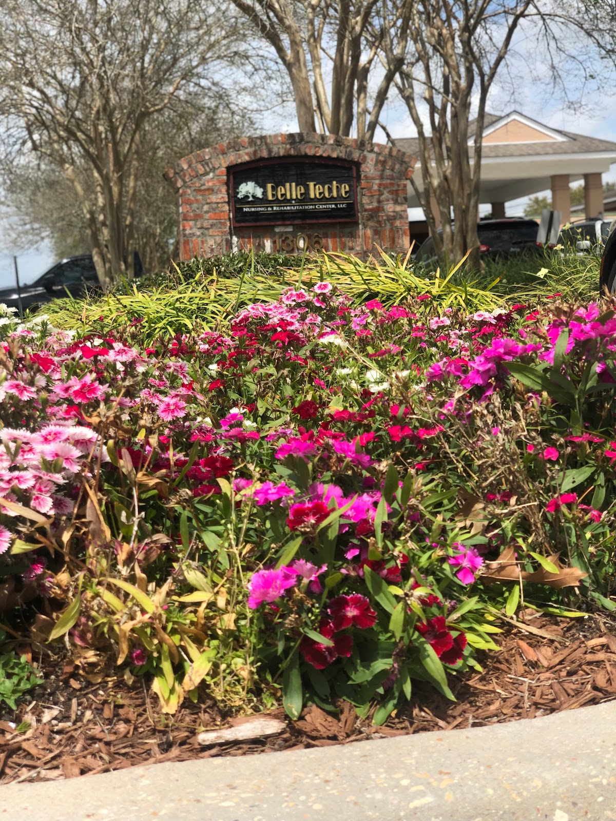 Belle Teche Nursing & Rehabilitation Center, LLC