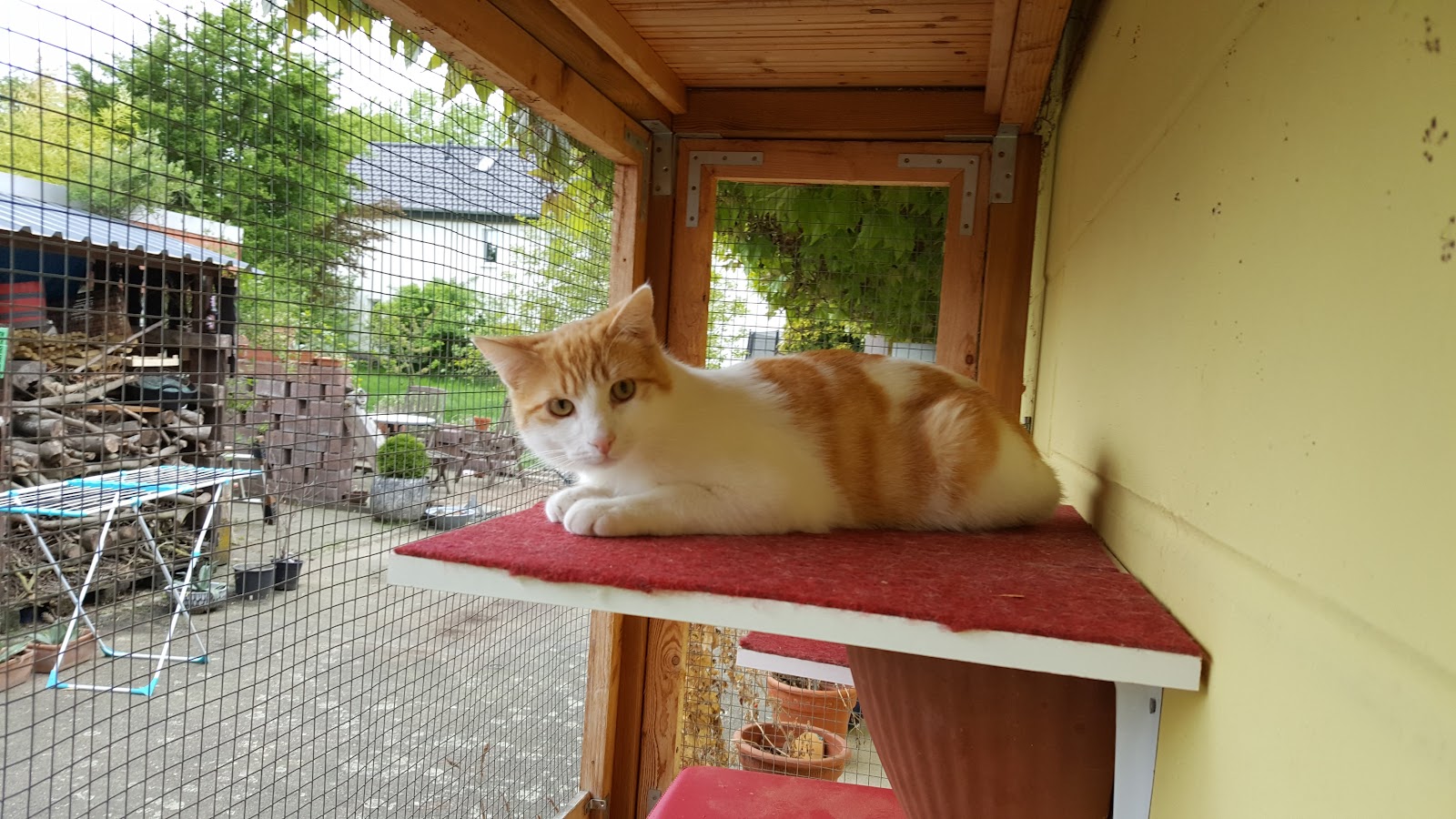 Tieroase Heuchelheim