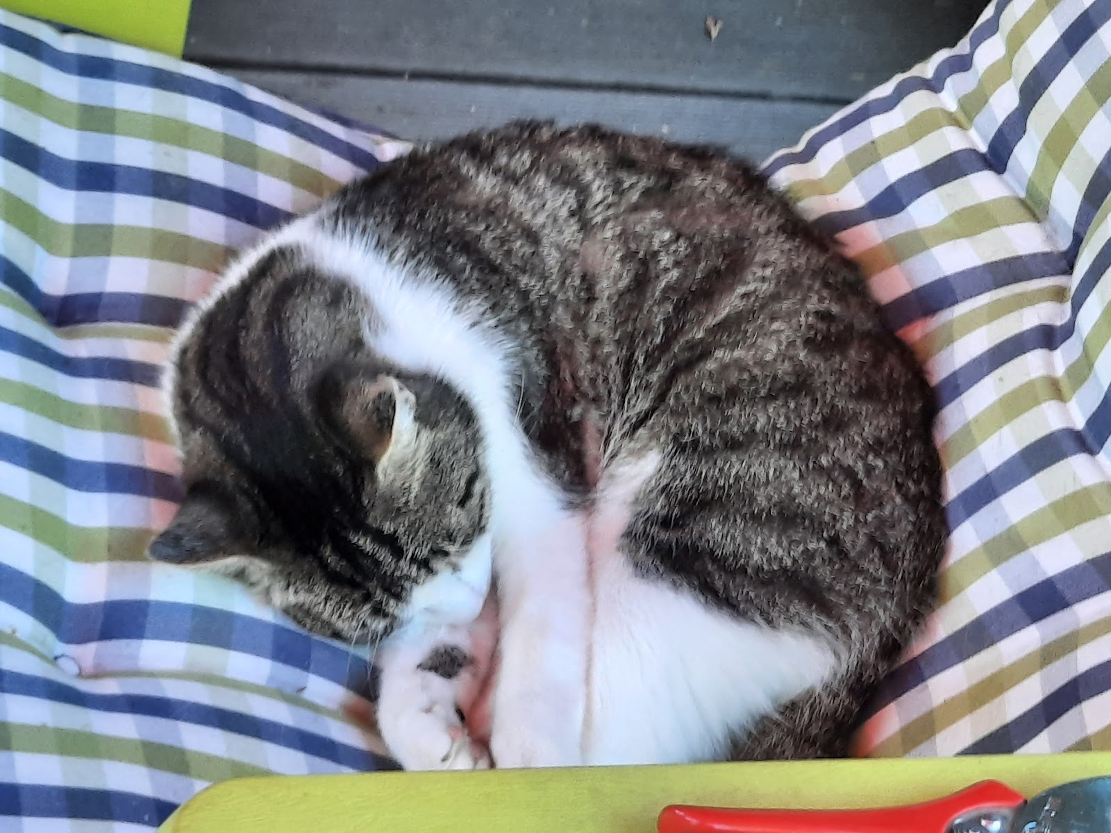 Tieroase Heuchelheim