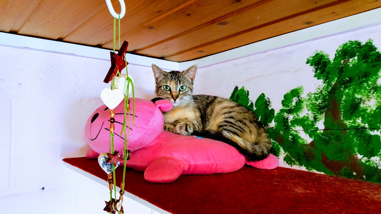 Tieroase Heuchelheim