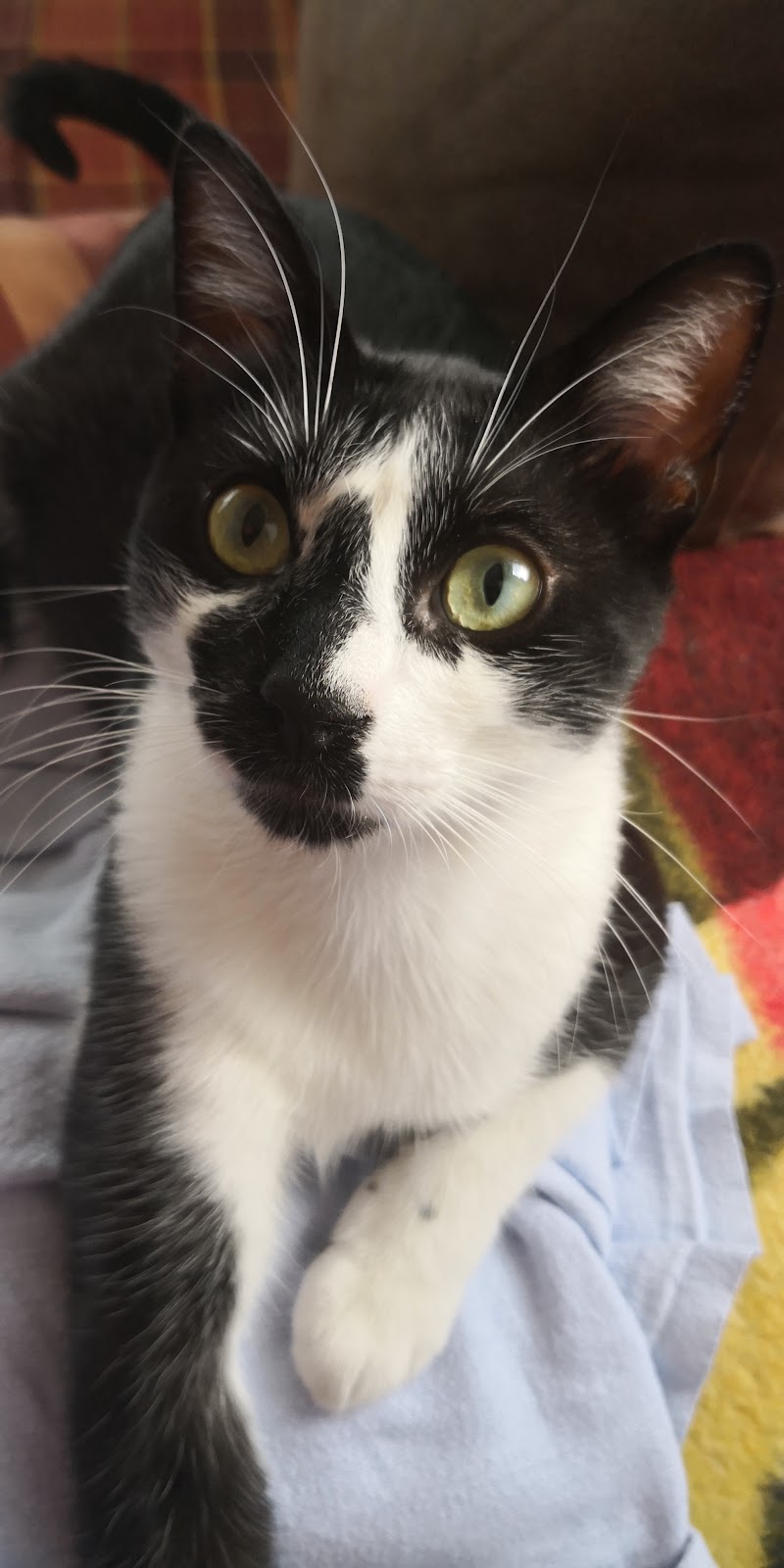 Tieroase Heuchelheim