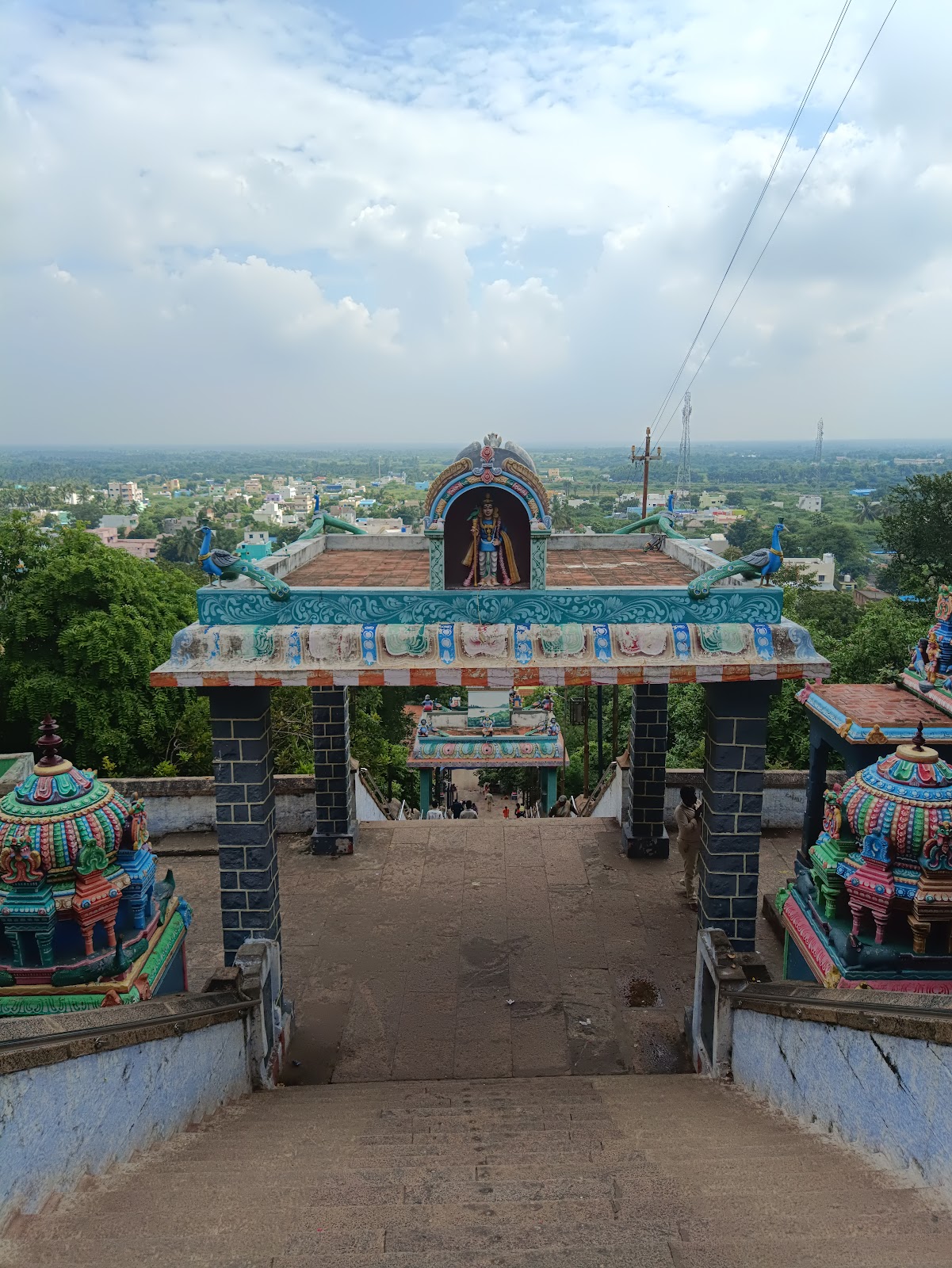 Viralimalai Peacock Sanctuary