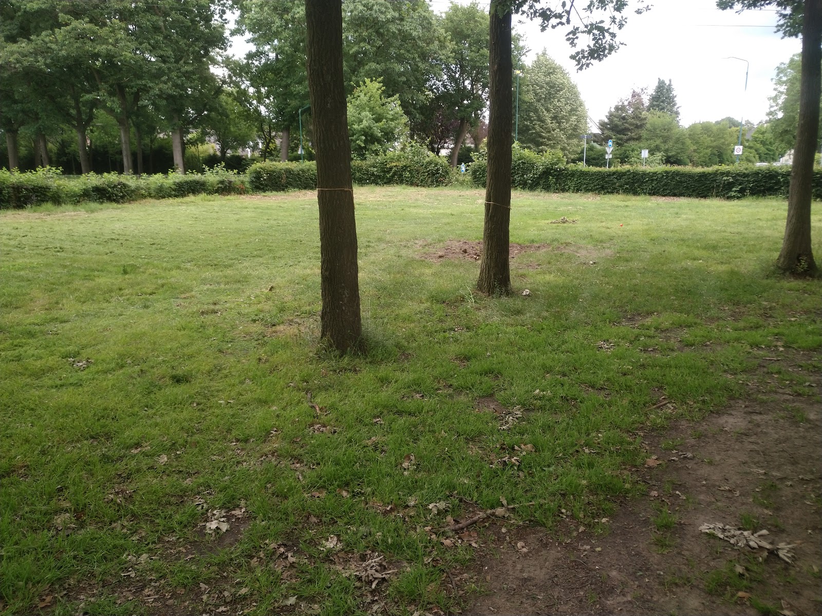 Scouting Sint Nicasius Heeze