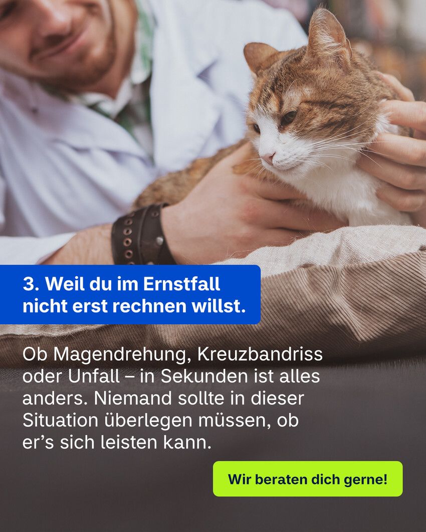 Concordia Versicherungen Geschäftsstelle Thomas Herrmann