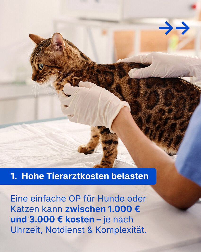 Concordia Versicherungen Geschäftsstelle Thomas Herrmann