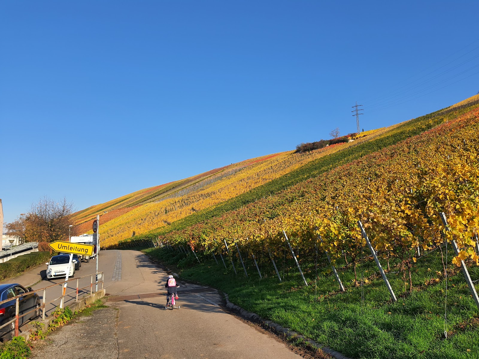 Haus am Weinberg, Wohlfahrtswerk für Baden-Württemberg