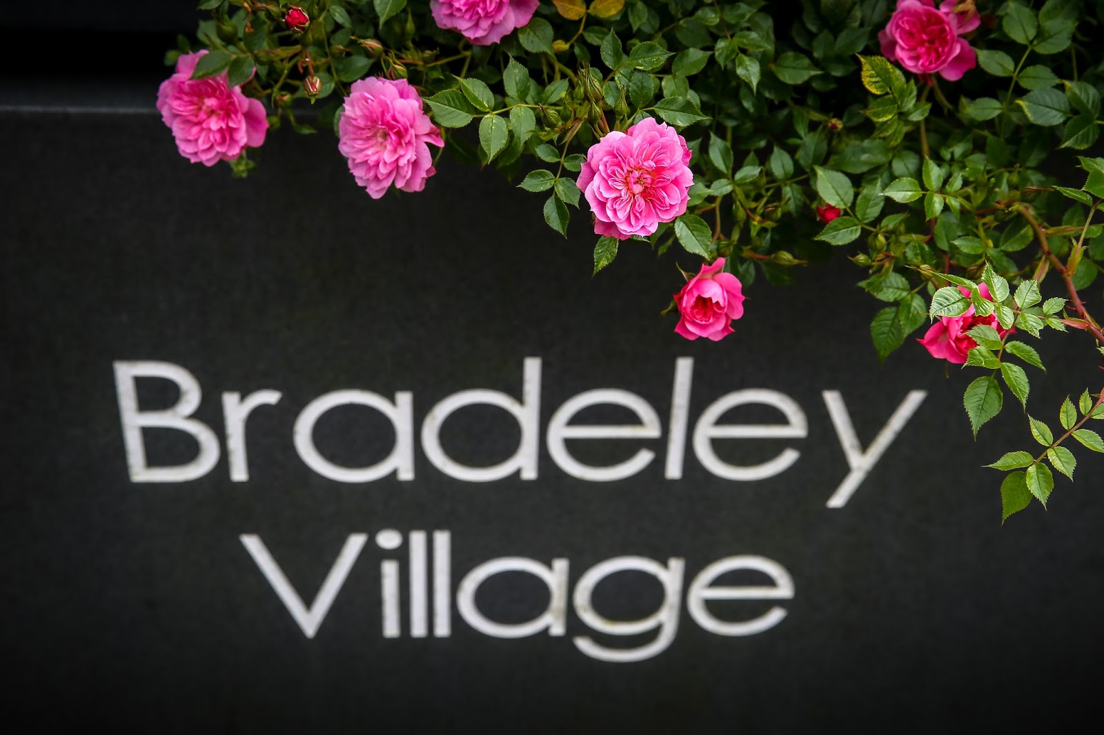 Bradeley Village