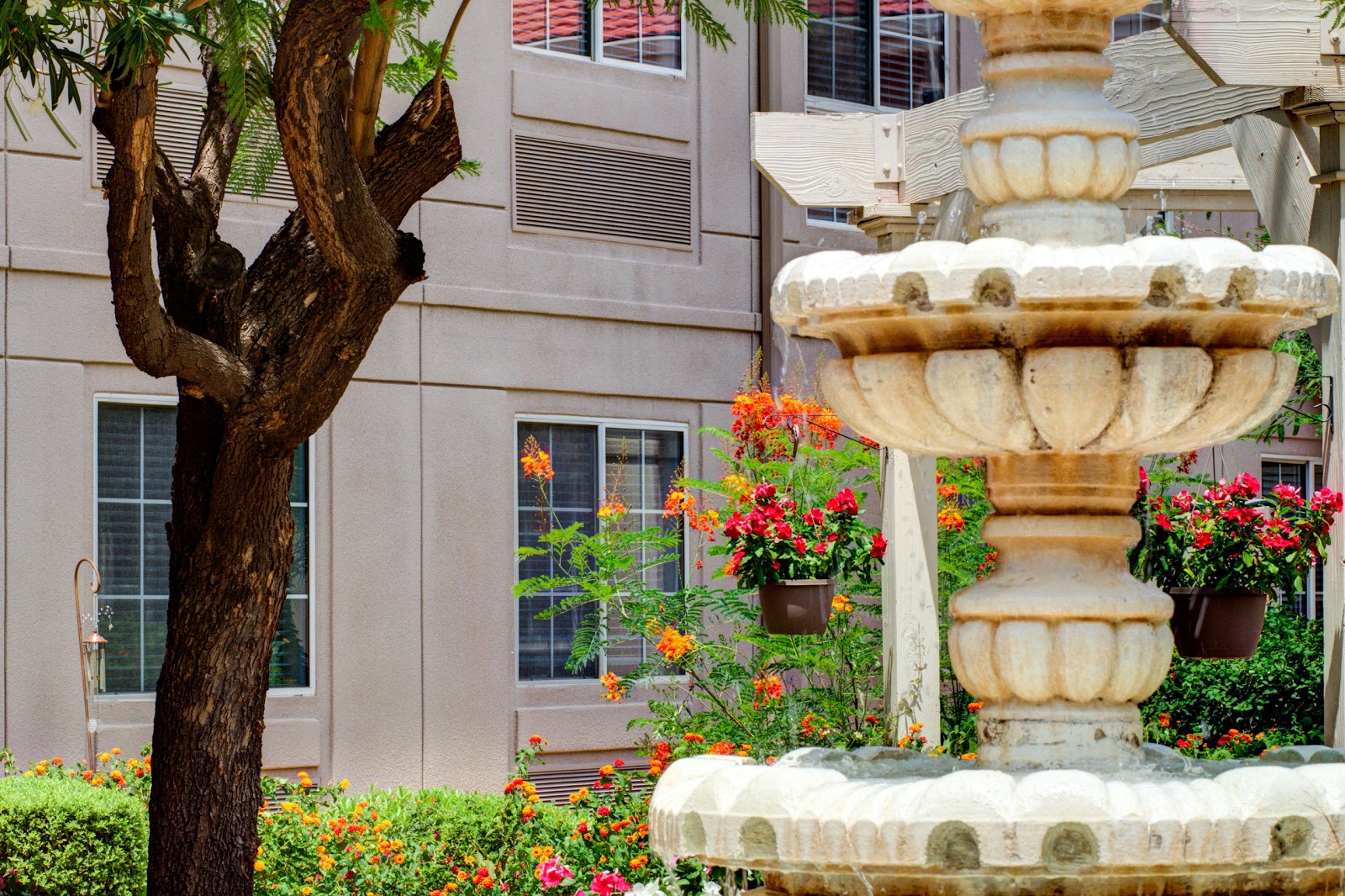 The Gardens of Sun City