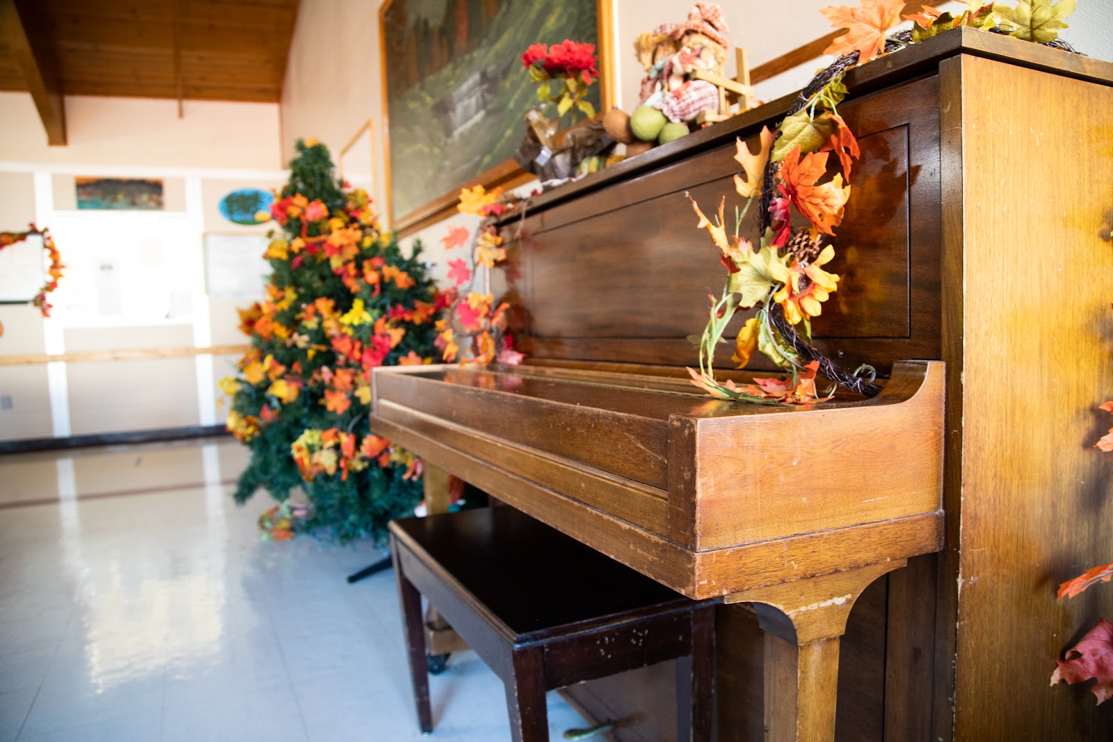 Nella's at Autumn Lake Healthcare