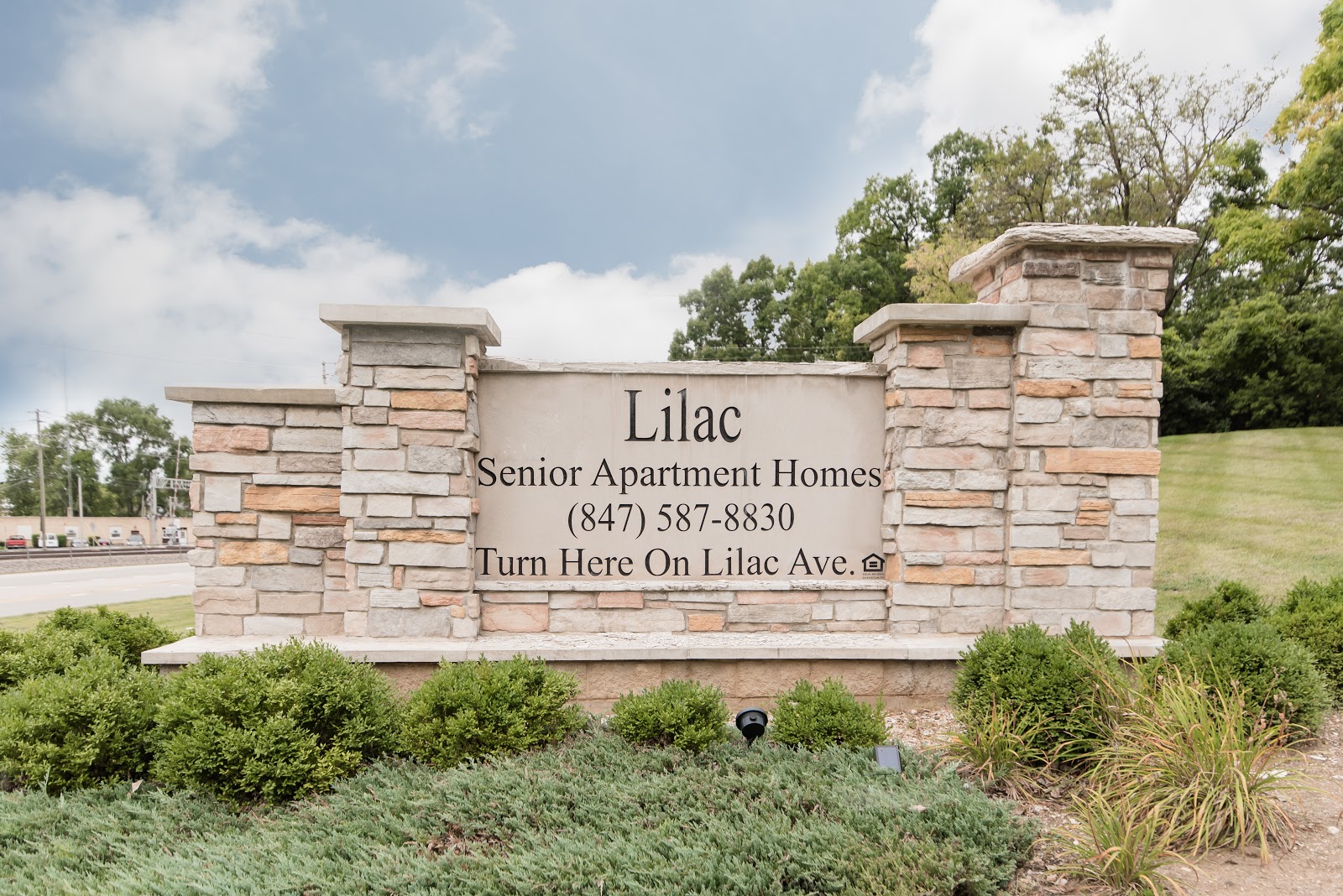 Lilac Senior