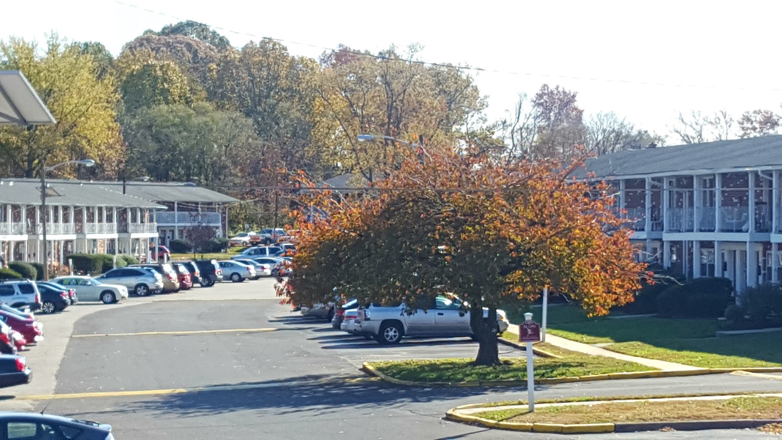 Bellmawr Manor Apartments