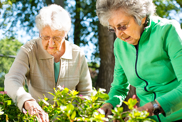Arden Courts - ProMedica Memory Care Community (Bath)