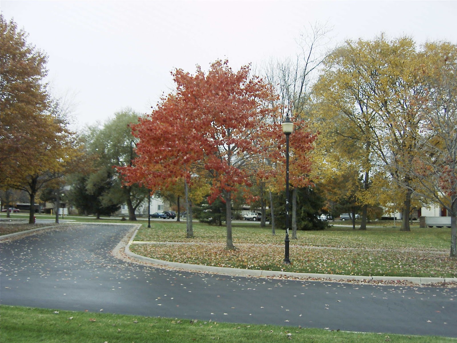 Porthaven Manor