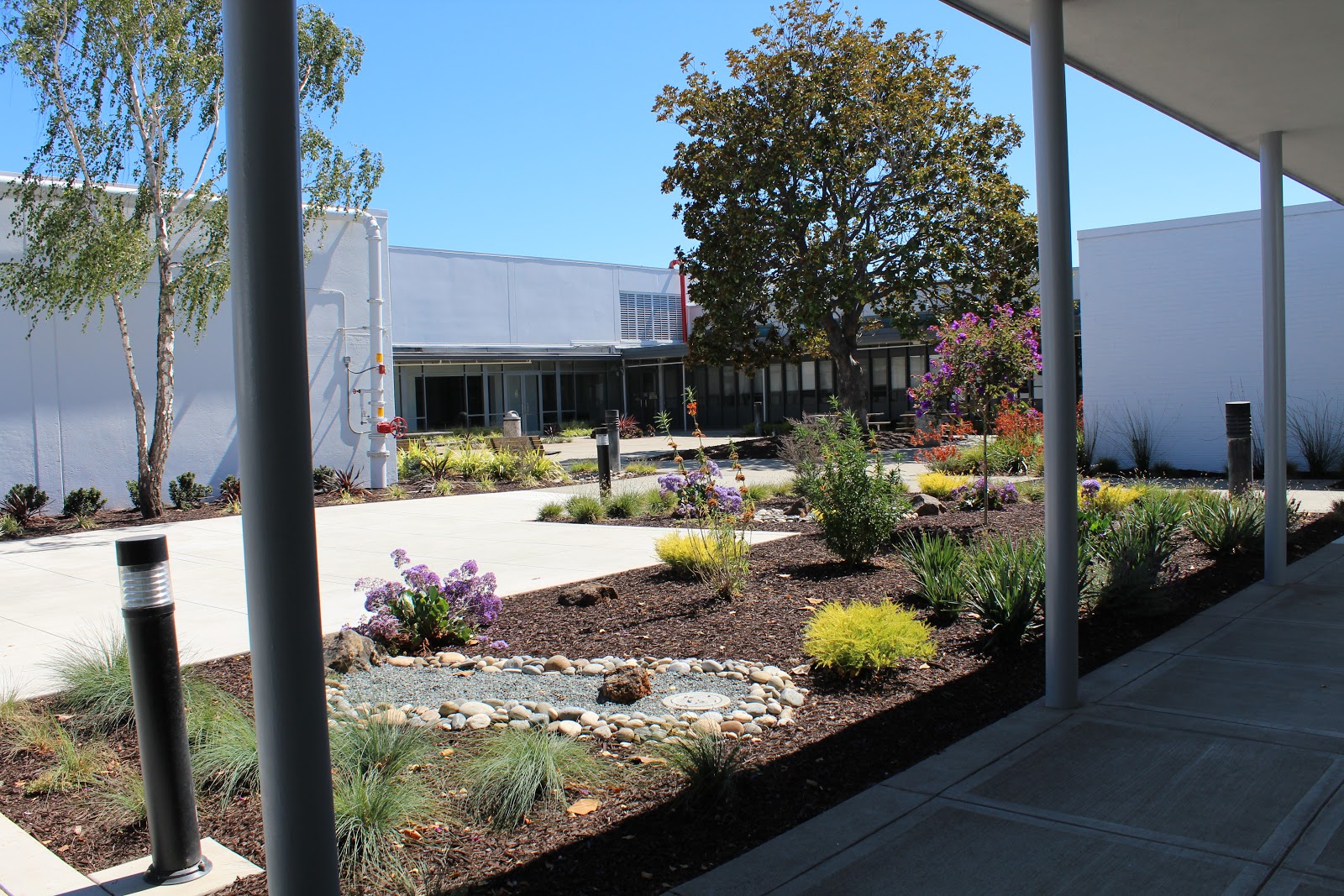 Center for Elders' Independence PACE San Leandro Center