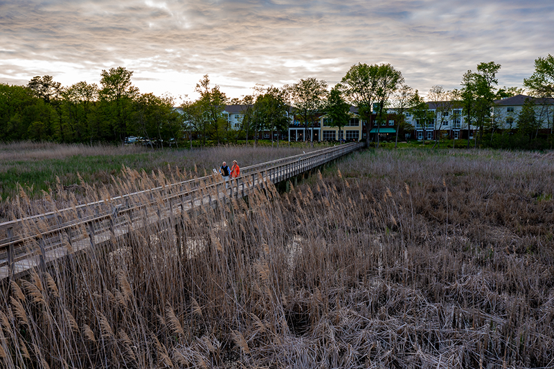 Heron Point of Chestertown
