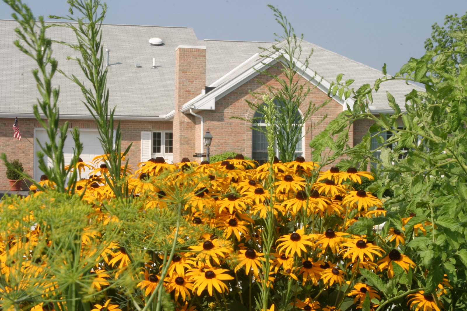 Luther Acres