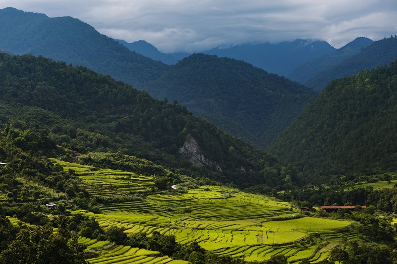 COMO Uma Punakha