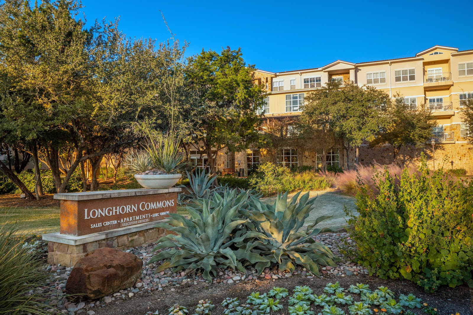 Longhorn Village